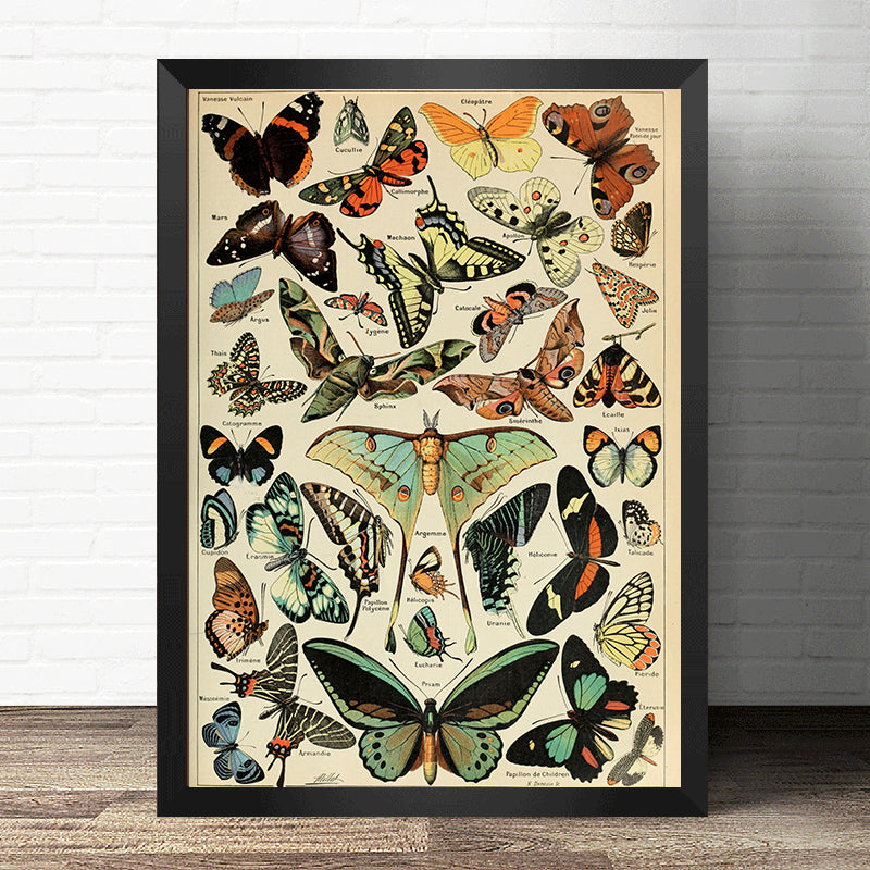 CORX Designs - Vintage Butterfly Canvas Art - Review