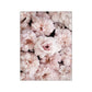 CORX Designs - Pink Peony Rose Flower Canvas Art - Review