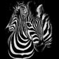 CORX Designs - Black and White Zebra Canvas Art - Review