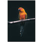 CORX Designs - Graceful Birds Canvas Art - Review