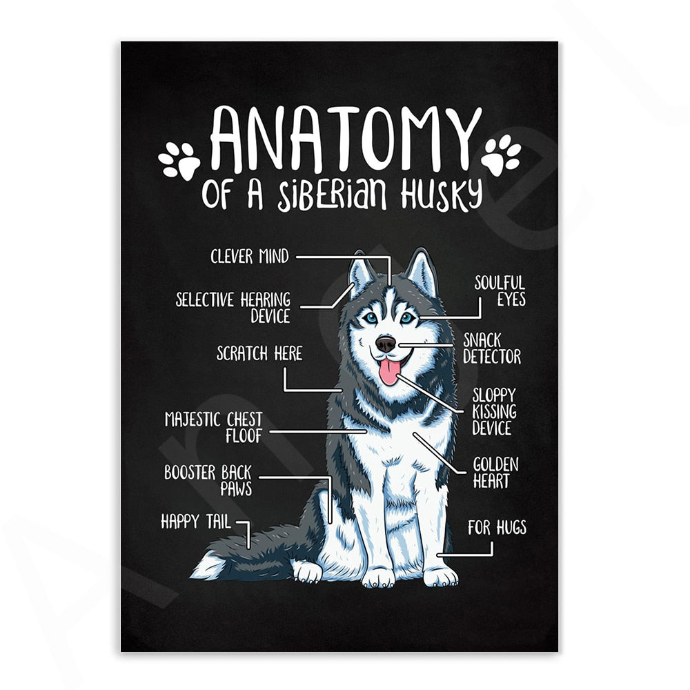 CORX Designs - Anatomy of Dogs Canvas Art - Review