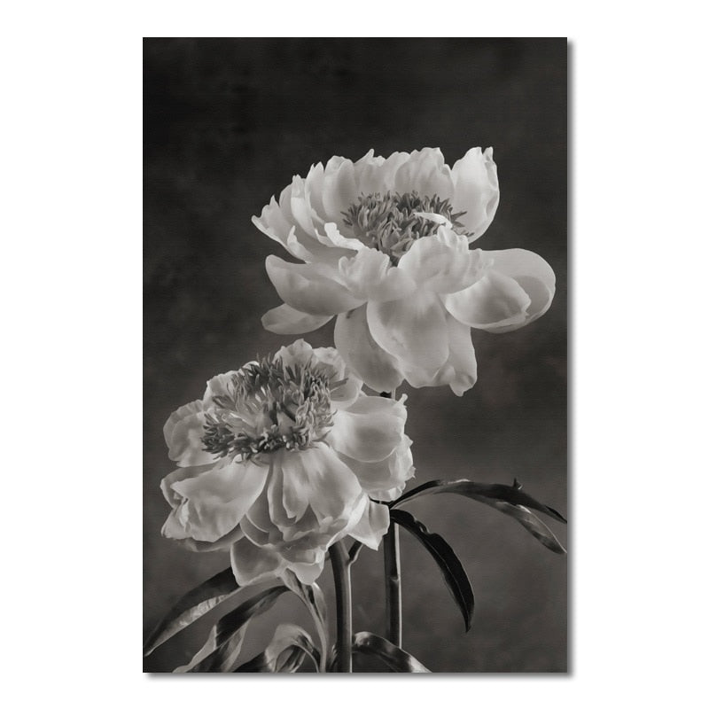 CORX Designs - Black and White Flower Canvas Art - Review