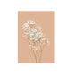 CORX Designs - Pink Peony Rose Flower Canvas Art - Review