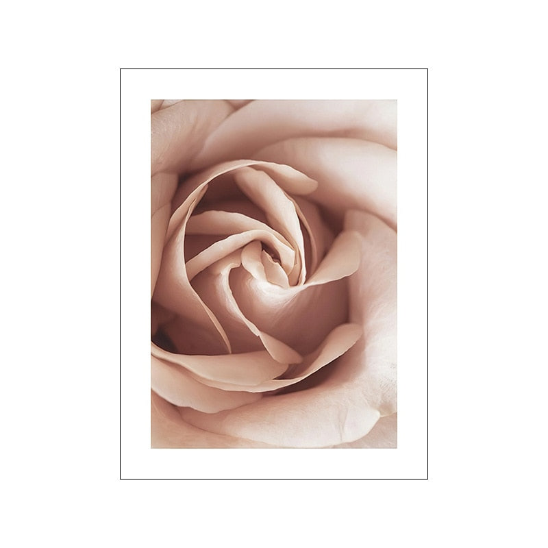 CORX Designs - Pink Peony Rose Flower Canvas Art - Review
