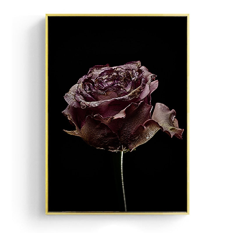CORX Designs - Withered Rose Canvas Art - Review