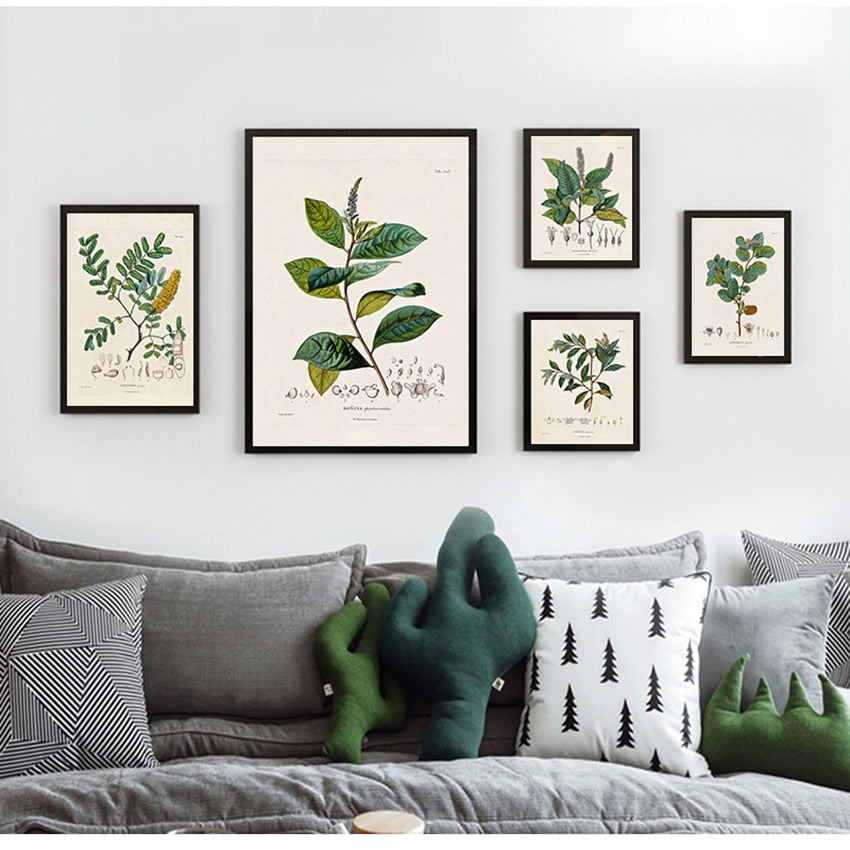 CORX Designs - Botanical Studies Wall Art Canvas - Review