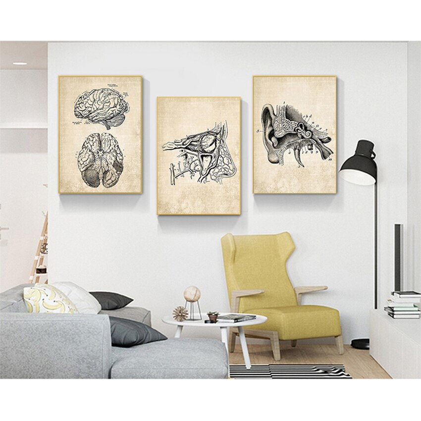 CORX Designs - Vintage Anatomy Canvas Art - Review