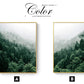 CORX Designs - Misty Forest Canvas Art - Review