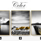 CORX Designs - White and Black Bridge Reef Rock Canvas Art - Review