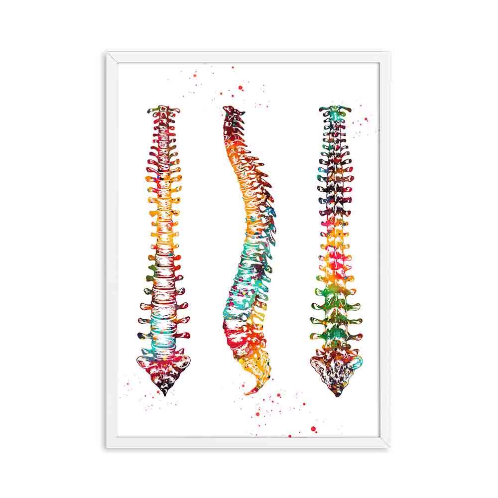 CORX Designs - Human Anatomy Muscles System Canvas Art - Review