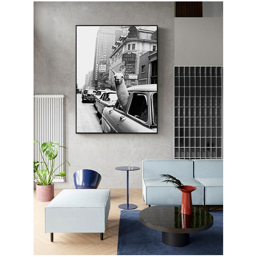 CORX Designs - Black and White Alpaca in the Car Canvas Art - Review