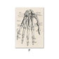 CORX Designs - Vintage Human Anatomy Canvas Art - Review