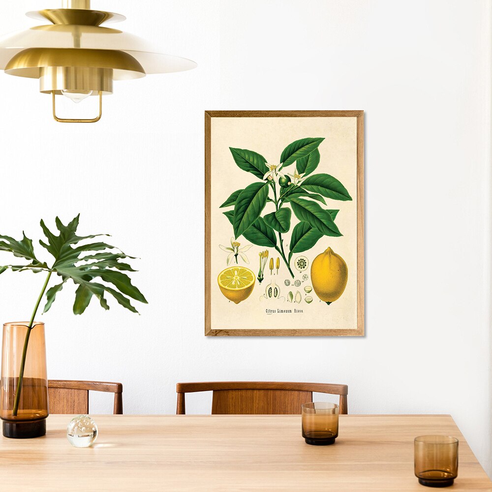 CORX Designs - Lemon Vintage Botanical Canvas Art - Review