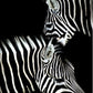 CORX Designs - Black and White Zebra Canvas Art - Review
