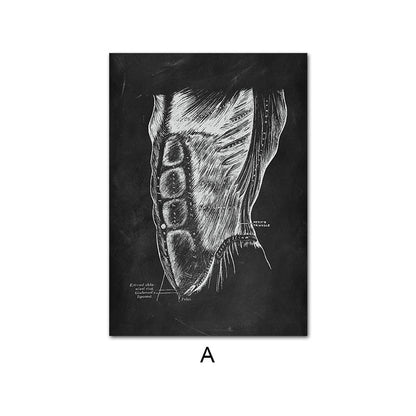 CORX Designs - Human Anatomy Black Canvas Art - Review