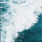 CORX Designs - Blue Sea Flower Ocean Canvas Art - Review