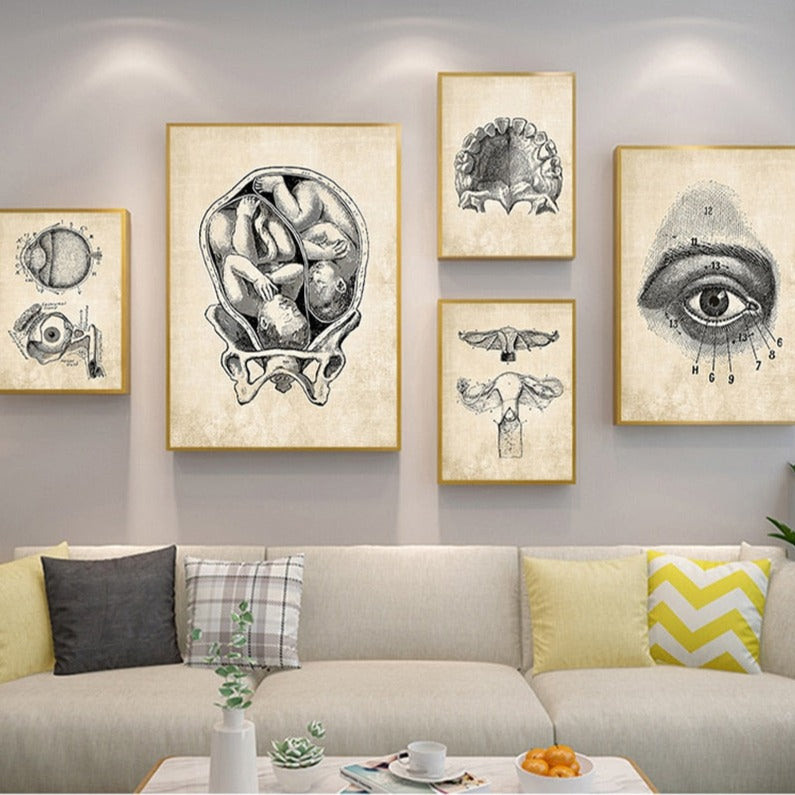 CORX Designs - Vintage Anatomy Canvas Art - Review