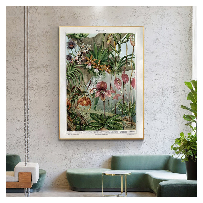 CORX Designs - Orchids Late 1800s Botanical Poster Wall Art Canvas - Review