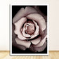 CORX Designs - Woman by the Window Pink Peony Canvas Art - Review
