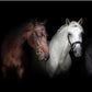 CORX Designs - Horses Wall Art Canvas - Review