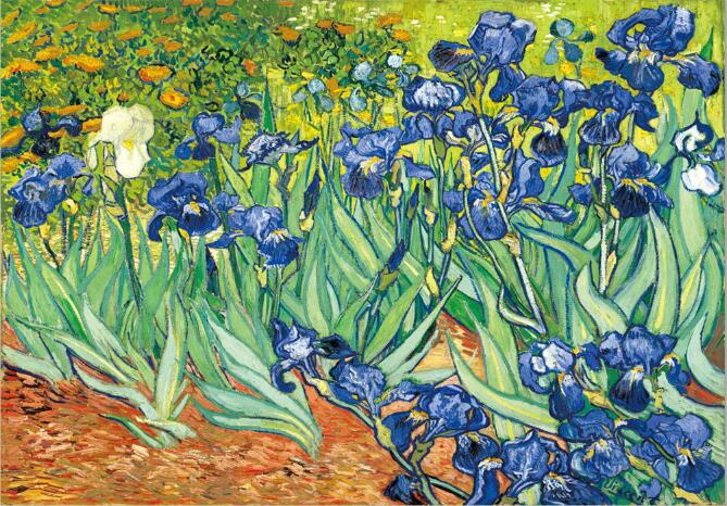 CORX Designs - Irises Flowers by Van Gogh Canvas Art - Review