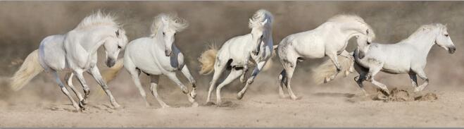 CORX Designs - Horses Wall Art Canvas - Review