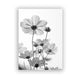 CORX Designs - Black And White Dandelion Canvas Art - Review