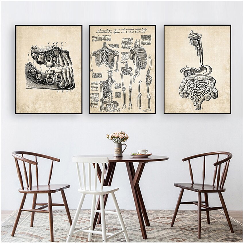 CORX Designs - Vintage Anatomy Canvas Art - Review