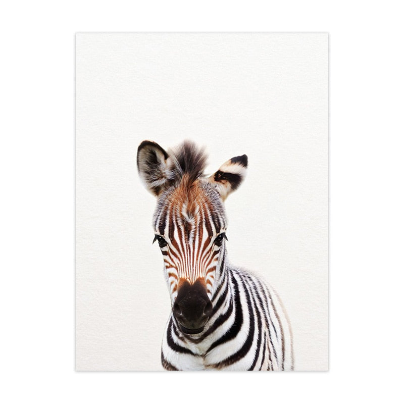 CORX Designs - Cute Animal Canvas Art - Review