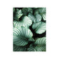CORX Designs - White Tulip Monstera Plant Canvas Art - Review