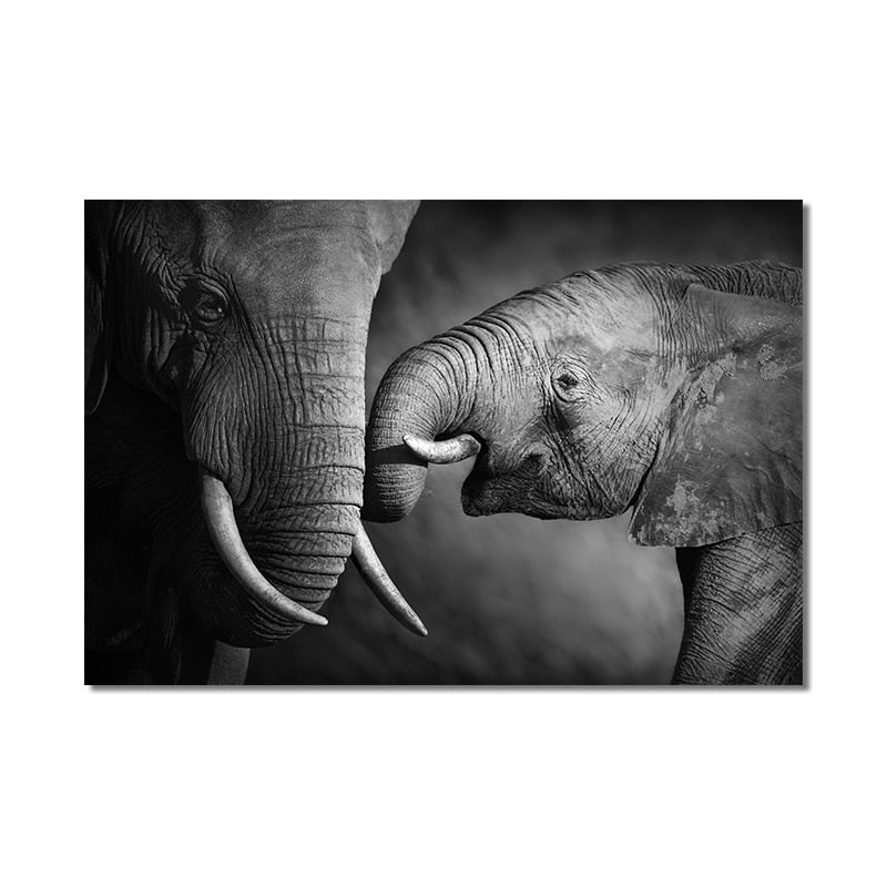CORX Designs - African Elephant Wall Art Canvas - Review