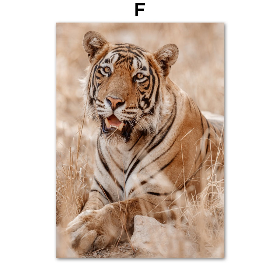 CORX Designs - Grassland Lion Tiger Leopard Fox Giraffe Canvas Art - Review