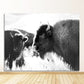 CORX Designs - Black and White Yak Highland Cow Canvas Art - Review
