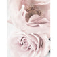 CORX Designs - Fresh Pink Flower Canvas Art - Review