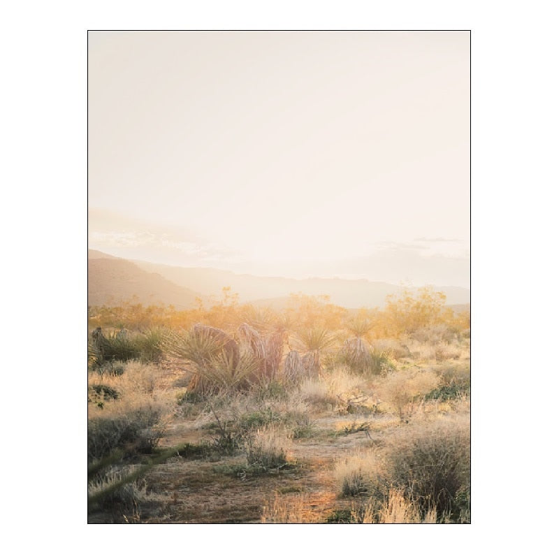 CORX Designs - Desert Landscape Canvas Art - Review