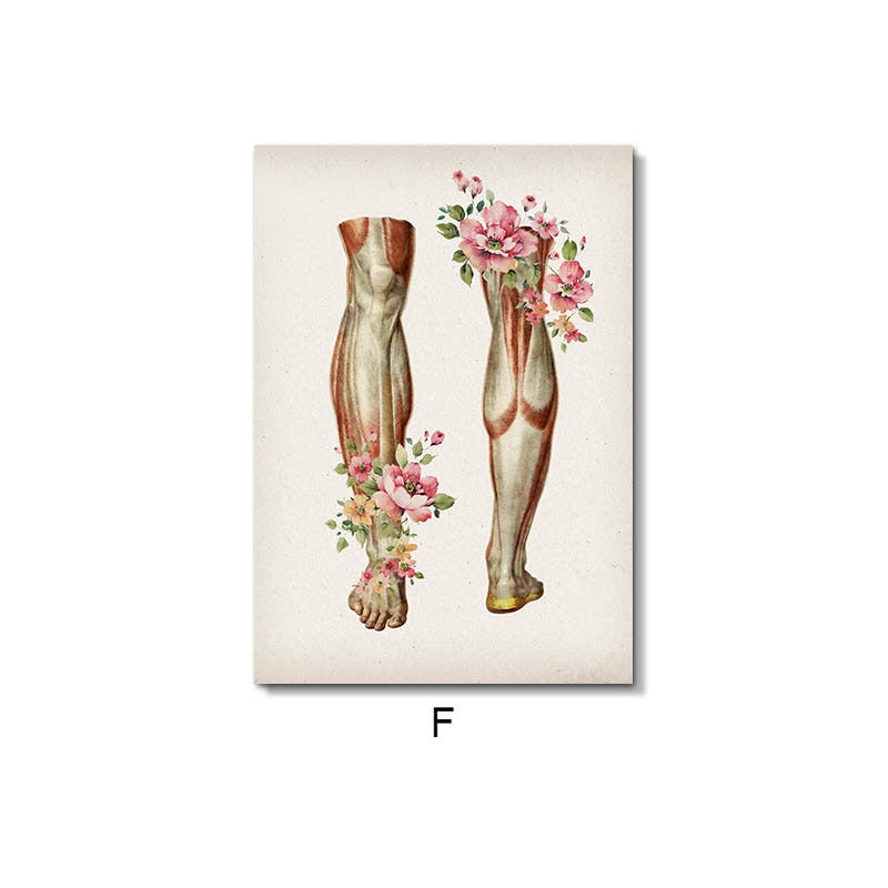 CORX Designs - Floral Skeletal Muscle Anatomy Canvas Art - Review