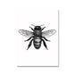 CORX Designs - Black and White Insects Canvas Art - Review