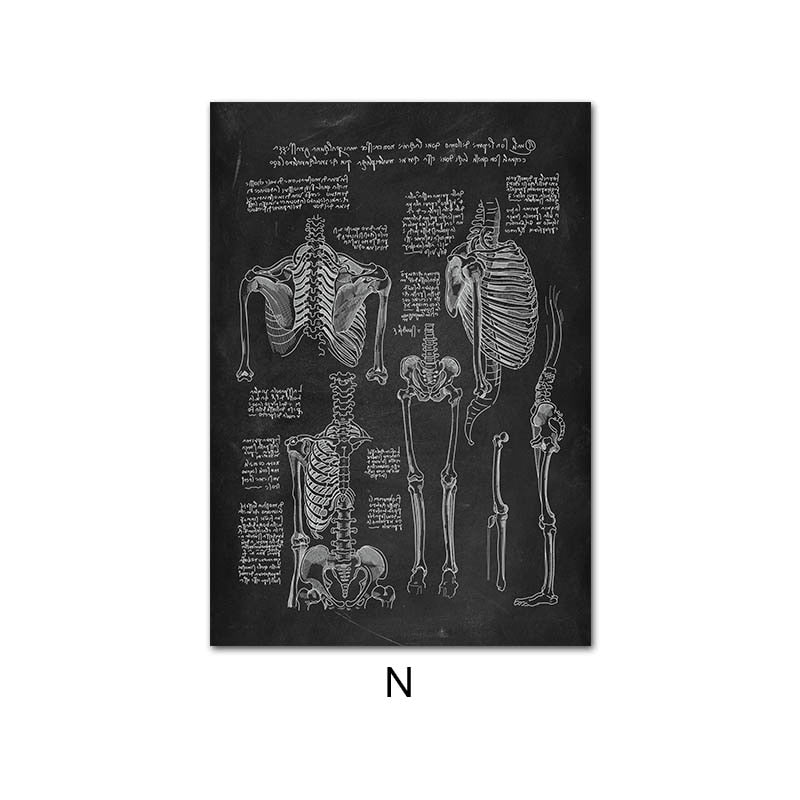 CORX Designs - Human Anatomy Black Canvas Art - Review