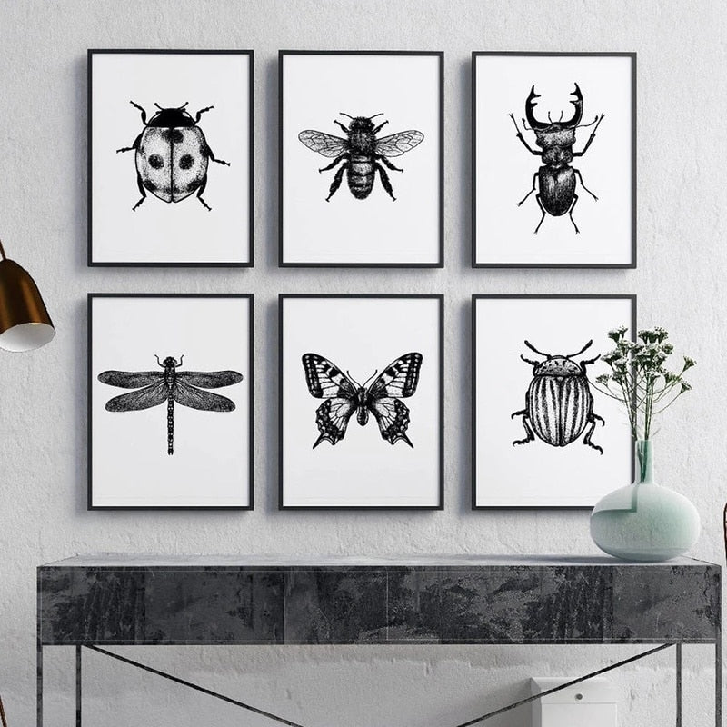 CORX Designs - Black and White Insects Canvas Art - Review