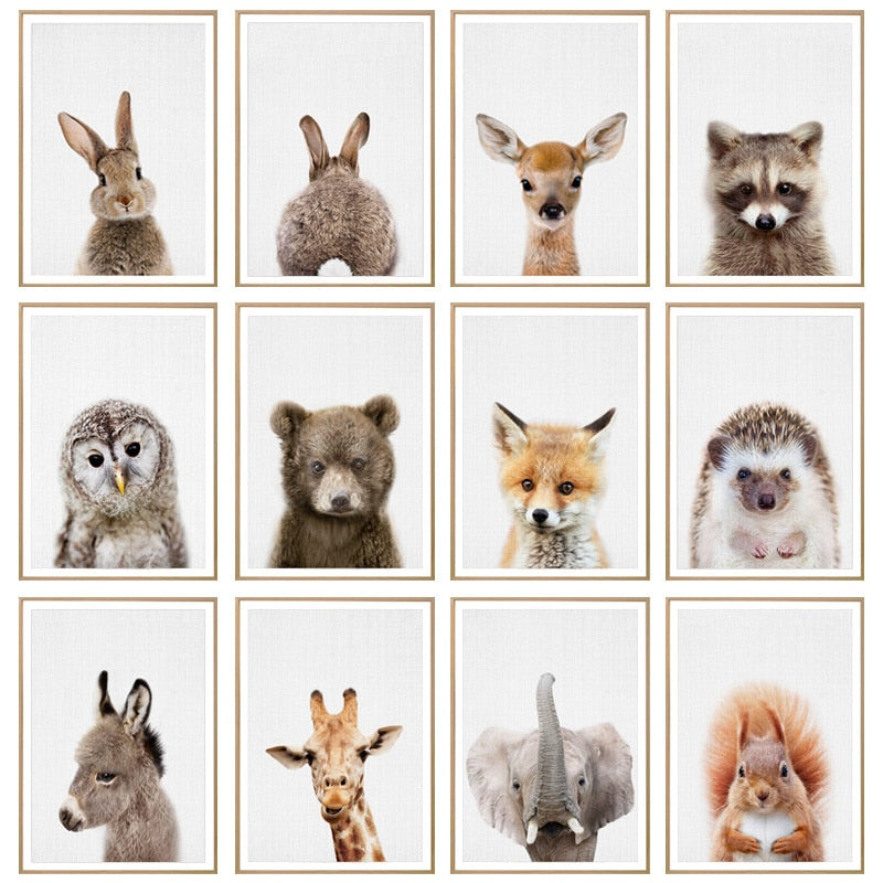 CORX Designs - Cute Animals Nursery Canvas Art - Review