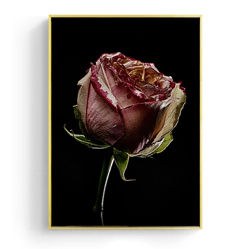 CORX Designs - Withered Rose Canvas Art - Review