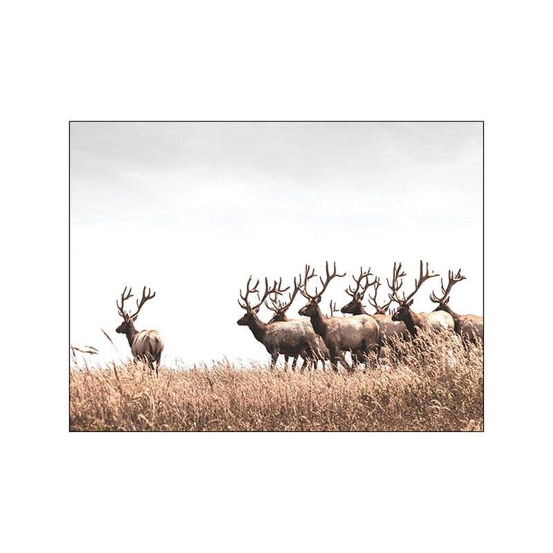 CORX Designs - Brown Landscape Dandelion Elk Canvas Art - Review