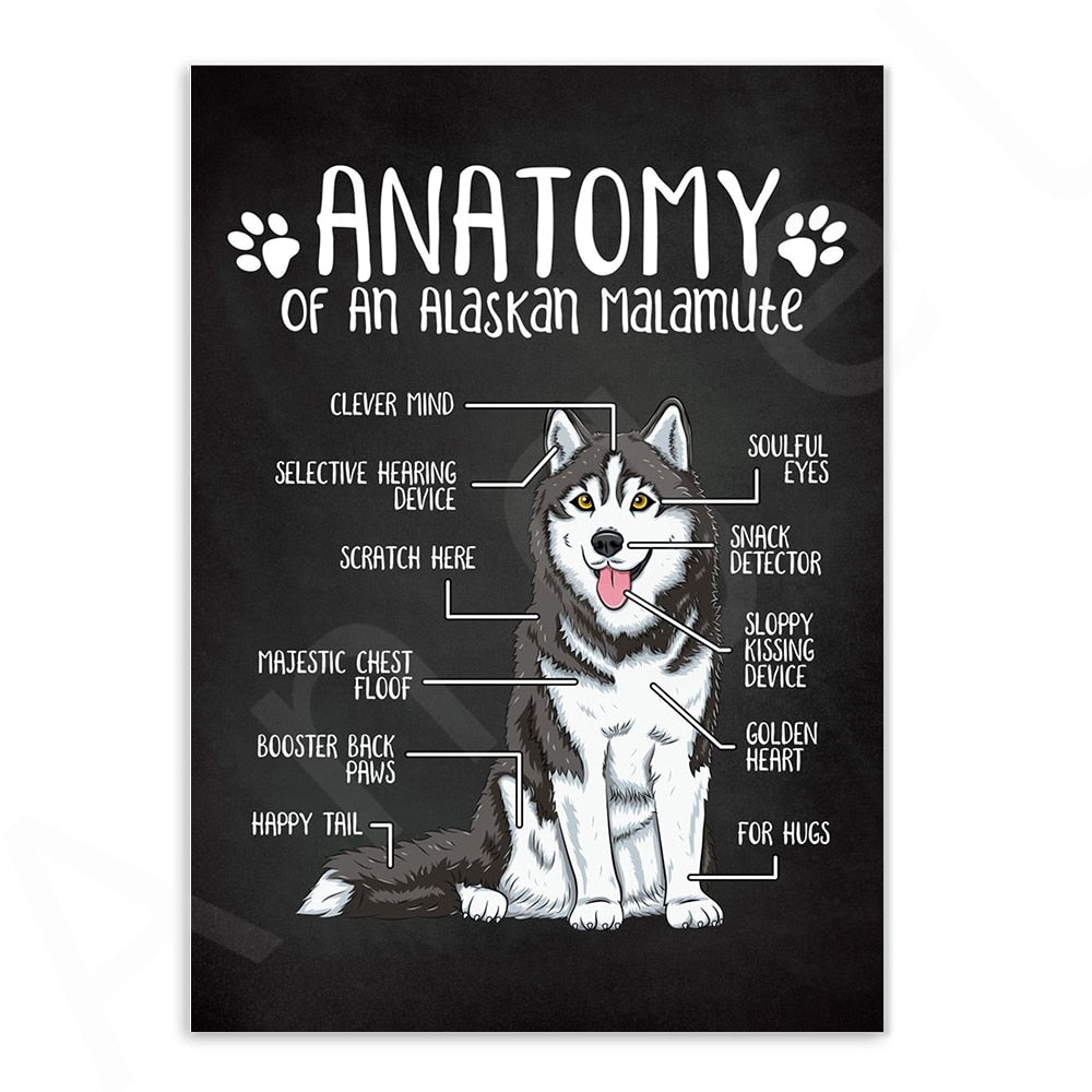 CORX Designs - Anatomy of Dogs Canvas Art - Review
