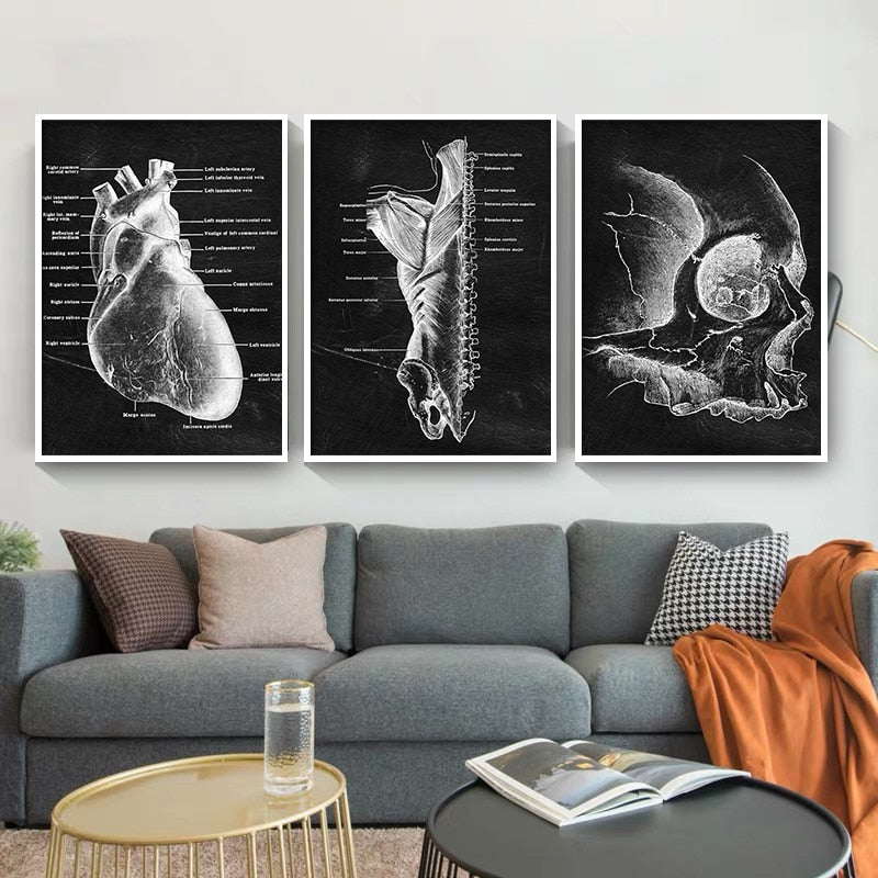 CORX Designs - Human Anatomy Black Canvas Art - Review