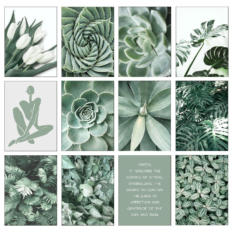 CORX Designs - White Tulip Green Aloe Plant Canvas Art - Review