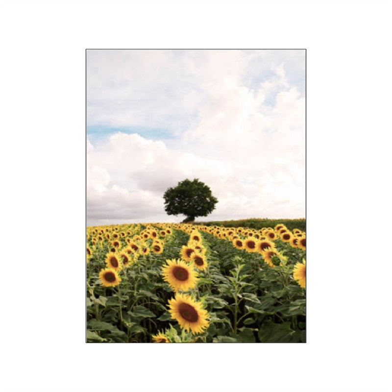 CORX Designs - Spring Morning Sunrise Sunflower Canvas Art - Review