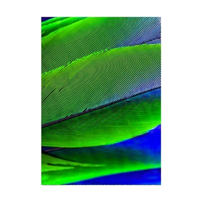 CORX Designs - Peacock Feather Canvas Art - Review