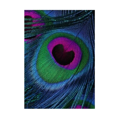 CORX Designs - Peacock Feather Canvas Art - Review