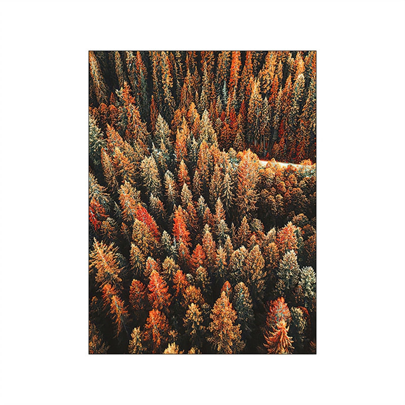 CORX Designs - Autumn Forest Pumpkin Maple Leaves Canvas Art - Review