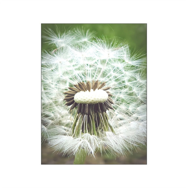 CORX Designs - Wild Daisy Canvas Art - Review